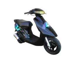 pin on scoots