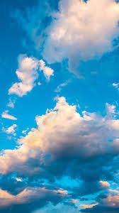 Check spelling or type a new query. 34 Iphone 11 Wallpaper Free Thepapernote