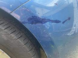 Automotive Touch Up Paint Duplicolor