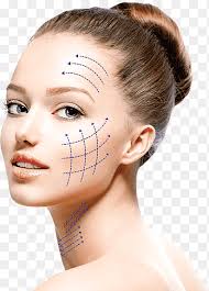 Meghan Linsey Brown recluse spider Spider bite Animal bite, brown recluse  spider bite, face, head png