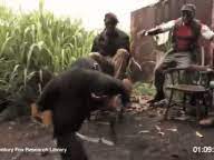 Lol Monkey With Ak47 Run Monkey Guns Ak47 Taken With Cinemagram Click To Play Monkeys Funny Funny Gif Funny Pictures
