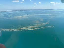 Jun 29, 2021 · 29.06.2021 можно ли купаться в море? Chernoe More Vozle Odessy Prevratilos V Zelenyj Kisel Mk