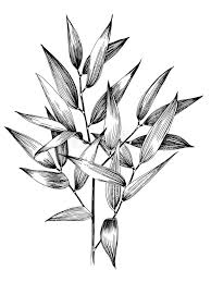 We did not find results for: Ruscus Stock Illustrations 895 Ruscus Stock Illustrations Vectors Clipart Dreamstime