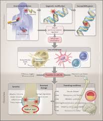 Image result for Rheumatoid Factor