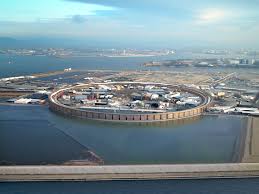 Image result for Kotschya stolonifera