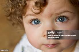 4,715 James Stern Stock Photos, High-Res Pictures, and Images