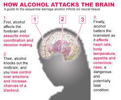 The Science How Does Alcohol Affect The Fetus Fetal Alcohol Syndrome What You Need To Know