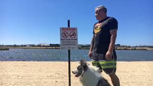 Now you can bring the action to the water! Residents Riled Health Warning Puts Pegasus Lake Out Of Action Again Stuff Co Nz