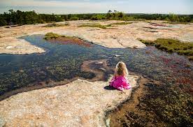 Maybe you would like to learn more about one of these? National Park Service Sites In Georgia Not To Miss Official Georgia Tourism Travel Website Explore Georgia Org