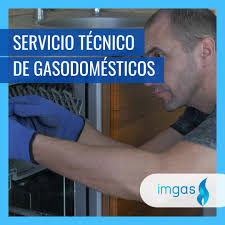 IMGAS CENTRO DEL GAS