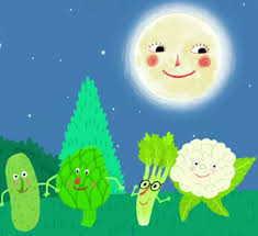 Video Les Comptines De Pinpin Et Lili La Ronde Des Legumes Comptines Comptines Enfants Contine Enfant