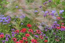 As you become more experienced with cottage gardening and your garden begins to grow, you will find others that will fit in perfectly with your needs. Complete Alphabetical List Of Cottage Garden Plants With Scientific Names