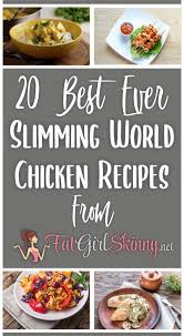 See more ideas about south african recipes, african food, recipes. 20 Best Ever Slimming World Chicken Recipes Fatgirlskinny Net Slimming World Recipes More