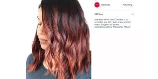 Best 25 mocha brown hair ideas on pinterest dark. The Top Brunette Hair Color Trends Matrix
