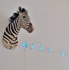 Zebra Fibonacci Mario Merz Contemporary Art Italian Art Conceptual Art