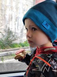 I'd like to thank Stewy(Webbs ferry drivers ) and his work partner for  yesterday arvo around 3 for responding to my jumping up and down and mad  waves and taking a car