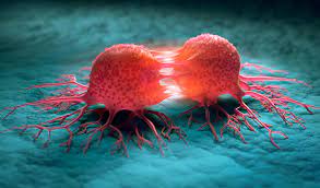 Cancer, or malignant neoplasm, is a large category of almost one hundred diseases, characterized by uncontrolled growth of cells and the ability of these abnormally dividing cells to spread from the original site, whether to adjacent tissues or. Racgp Cancer Develops Resistance To Our Most Lethal Drugs Now We Know How