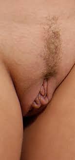 Die neue Vulva Galerie | BRAVO