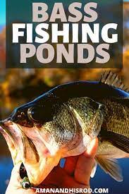 Bass Fishing Ponds Step By Step Bass Fishing Fish Trout Fishing Tips