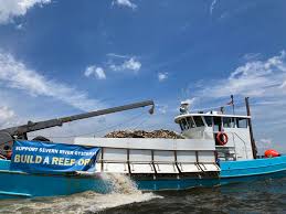 30 Million More Oysters Planted in Severn River, Bringing Total to 115  Million