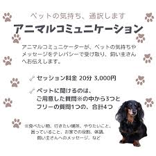 アニマル コミュニケーター ブログ