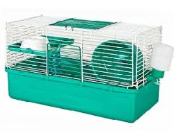 Many sophisticated cages don't have enough room for your pet and lesser floor space means lesser fun for your active pet. Dwarf Hamster Care Roborovski Russian Chinese Hamsters