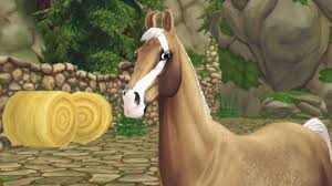 If you are a seasoned star stable player, . Starstable Photography Tumblr Posts Tumbral Com