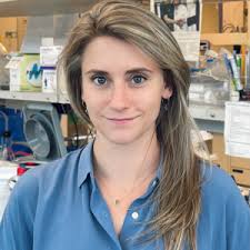 New Faculty Spotlight