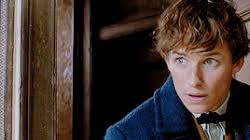 THE DEMONOMICON ( newt scamander.. )