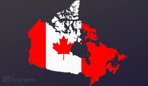 Unlike these stock trading platforms in canada, cryptocurrency platforms are not secured or regulated by the canadian investor protection fund (cipf). Canada Could Become The Next El Salvador For Bitcoin But How Soon Zycrypto