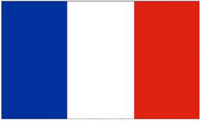 These display as a single emoji on supported platforms. 8 Ft X 5 Ft France French Polyester Flag Amazon De Kuche Haushalt