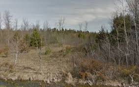 Browse townhouses, condos and other real estate properties in port hope area to find a place to call home. K18005190 3213 Burbrook Road Koven Lifestyle Real Estate