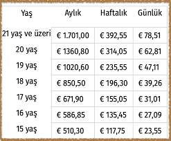 Evli ve eşi çalışmayan çalışanlar için net asgari ücret, 2 bin 879 lira 57 kuruş; Hollanda Da 2021 Asgari Ucret Belirlendi