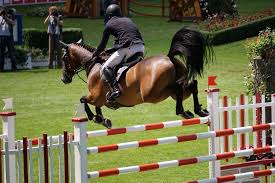 Alle news zu olympia 2021: Reiten Olympia 2021 2020 Tickets Flug Hotel Buchen