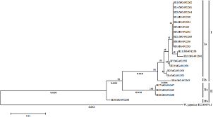 Cell membrane is made up of lipids and proteins and forms a barrier between the extracellular liquid. Identification And Evaluation Of Lonicera Japonica Flos Introduced To The Hailuogou Area Based On Its Sequences And Active Compounds Peerj