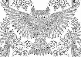 Print ze gratis uit en kleur ze in! Schattige Dieren Kleurplaten Moeilijk Coloring And Drawing