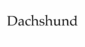 The correct german pronunciation of dachshund is extracted. How To Pronounce Dachshund Youtube
