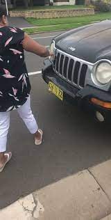 Wentzel rudman was given this car in exchange for fixing a tractor for a friend. Helping A Bird Out Of A Car Grille Yesyesyesno