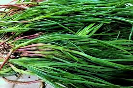 In pratica sono una verdura di quelle che hanno tantissimi nomi. Agretti Ed E Subito Primavera La Cuoca Galante Food Blogger Napoli Cucina Napoletana