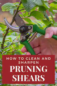 How To Clean And Sharpen Pruning Shears And Other Garden Tools Pruning Shears Sharpen Garden Tools Garden Tools