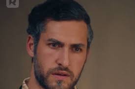 Fay Alden And Kent Lippert Of Falling For My Ex's Mafia Dad: What To Know? 