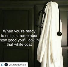 Never Give Up Med School Motivation Medical School Motivation Medicine Student