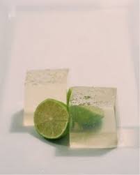 Gin Tonic Jello Shots Gin And Tonic Shot Recipes Jello Shots