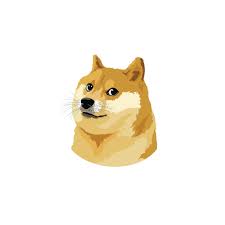 Learn about the dogecoin price, crypto trading and more. Doge Eur Rechner