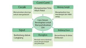 Tulis hasil temuanmu pada diagram frayer berikut! Kunci Jawaban Tema 2 Kelas 6 Sd Halaman 66 67 68 70 71 72 73 Buku Tematik Subtema 2 Pembelajaran 3 Halaman All Tribunnews Com Mobile