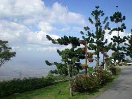We did not find results for: The Jerai Hill Resort Yan Updated 2021 Prices
