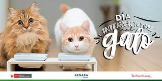 Los perros sólo producen 10. Senasa Peru Ø¹Ù„Ù‰ ØªÙˆÙŠØªØ± Gatoloversenasa Engrie A Tu Felino En Su Dia Alimentandolo Con Comida Balanceada Y Suplementos Nutricionales Registrados Y Certificados Por Senasa Https T Co 0rg0zljvn2 Comenta Este Tweet Con La Foto