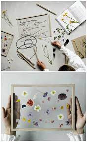Les botanistes de l'époque récoltaient la plante en entier : 1001 Idees Comment Faire Un Herbier Original Avec Des Projets Diy Varies Craft Comment Faire Un Herbier Art Diy