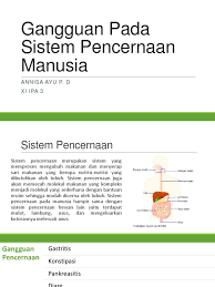 Diare dalam waktu lama menyebabkan dehidrasi. Gangguan Pada Sistem Pencernaan Manusia