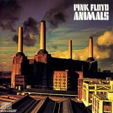Image result for copertine dischi pink floyd